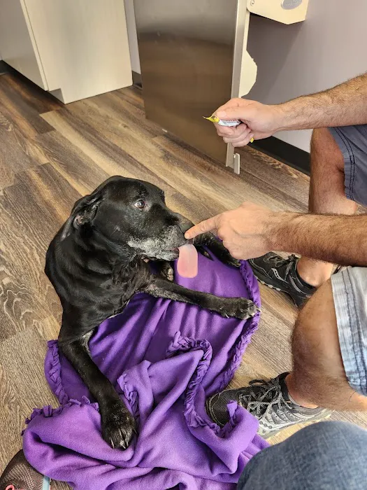 Vital Vet Animal Hospital 5