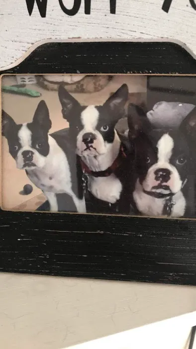 Banfield Pet Hospital 1