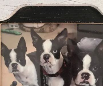 Banfield Pet Hospital