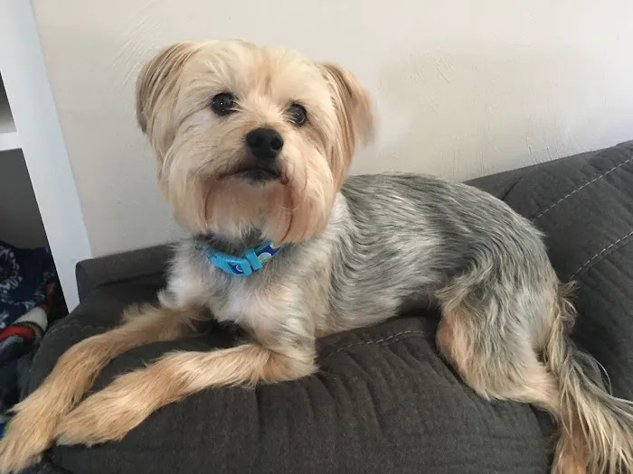 Banfield Pet Hospital 3