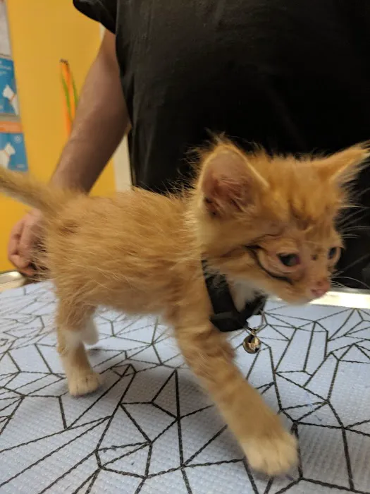 Banfield Pet Hospital 5