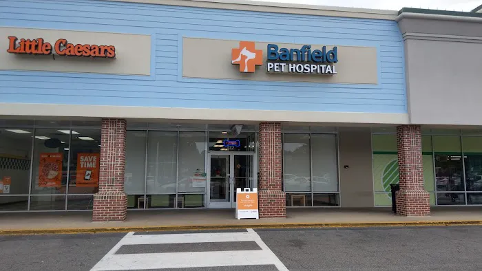 Banfield Pet Hospital 7