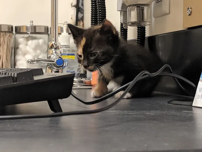 Banfield Pet Hospital 6