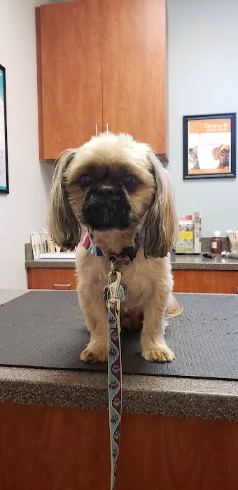 Mt. Pleasant Vet Clinic 7