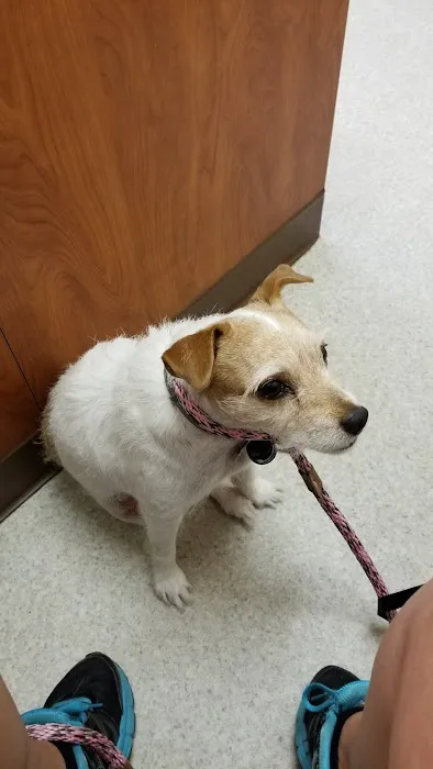 Mt. Pleasant Vet Clinic 3