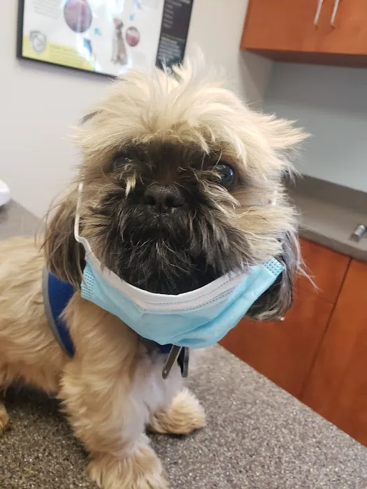 Mt. Pleasant Vet Clinic 5