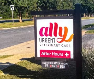 Ally Urgent Veterinary Care