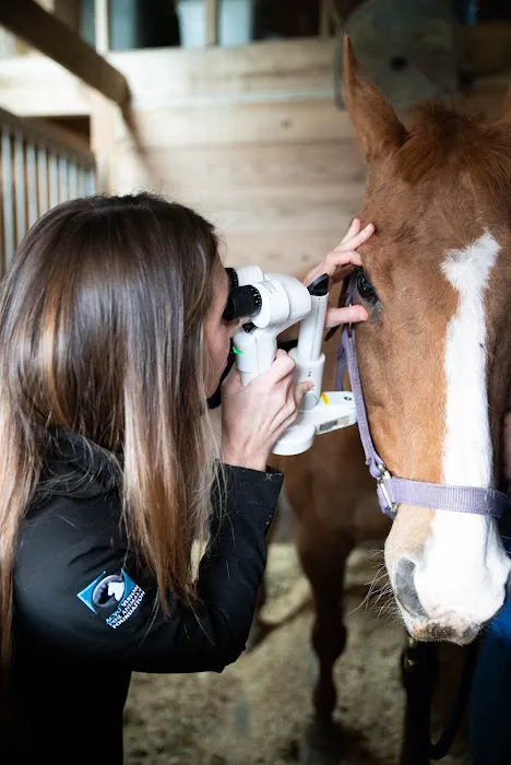 Animal Vision Center of Virginia 12