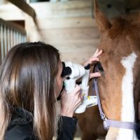 Animal Vision Center of Virginia ico