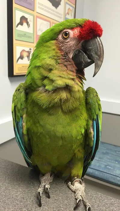 Animal Vision Center of Virginia 12