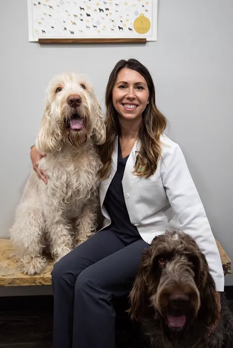 Animal Vision Center of Virginia 12