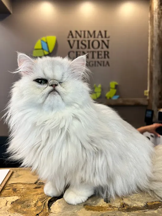Animal Vision Center of Virginia 12