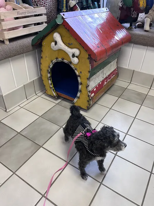 General Booth Veterinary Hospital 12