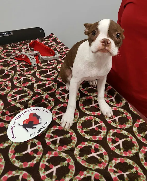Healing With Heart Veterinary Care 5