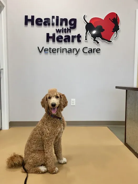 Healing With Heart Veterinary Care 7