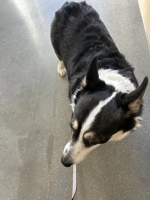Vetco Total Care Animal Hospital 12