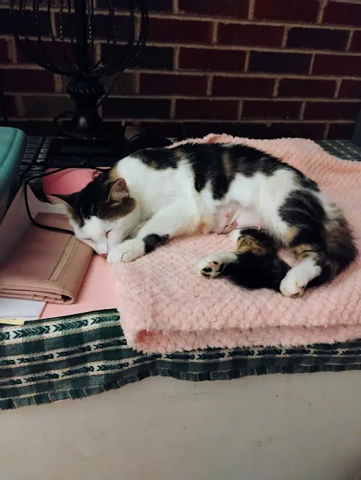 Cox Veterinary Hospital PC 12