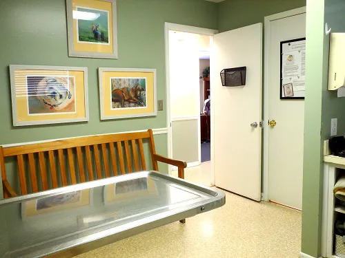 Hoke Animal Clinic 12