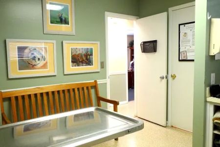 Hoke Animal Clinic
