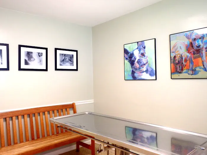 Hoke Animal Clinic 12