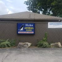Hoke Animal Clinic: Davies Brian DVM ico