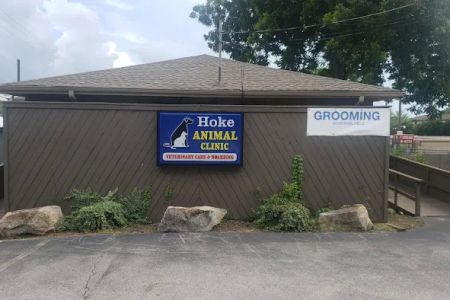 Hoke Animal Clinic: Davies Brian DVM