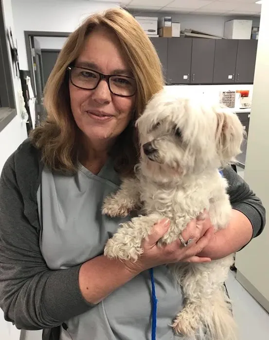 Avondale Animal Hospital 12