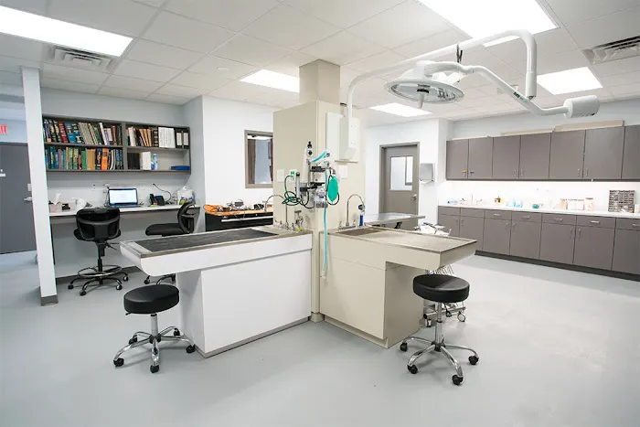 Avondale Animal Hospital 12