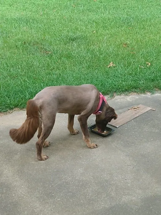 Bessemer McCalla Animal Clinic 12