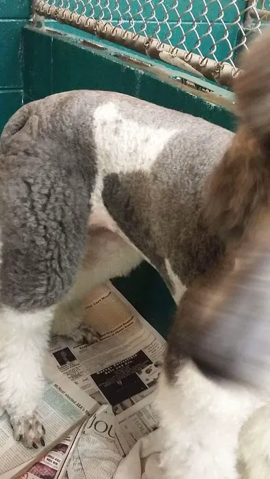 Bessemer McCalla Animal Clinic 12