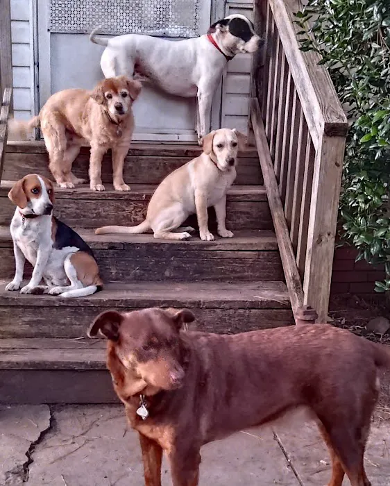 Bessemer McCalla Animal Clinic 12