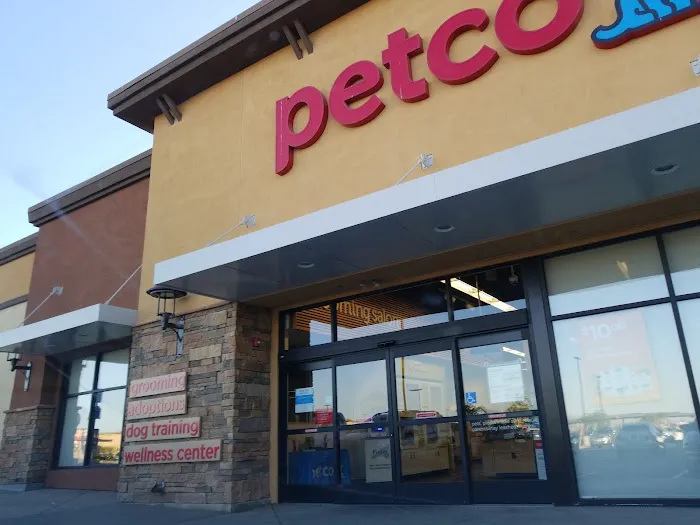 Petco 12