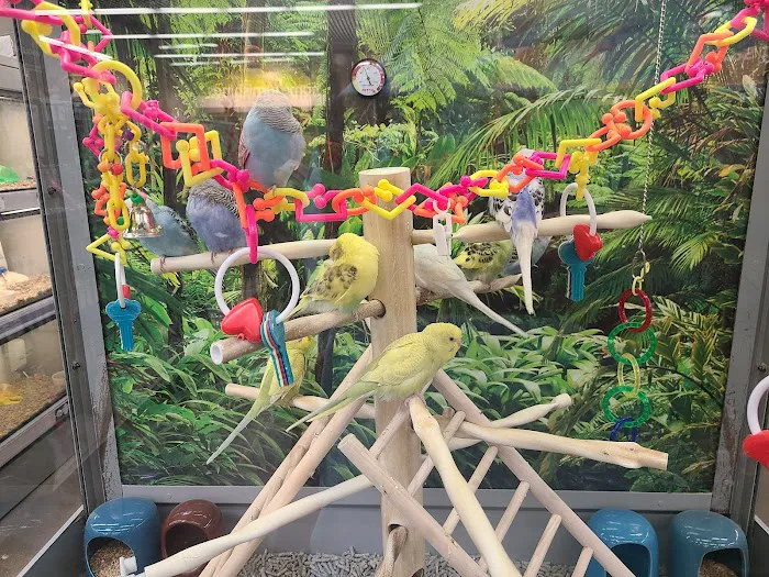 Petco 12