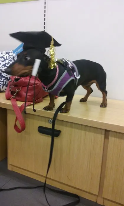 Petco 12