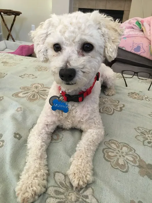 Petco 12