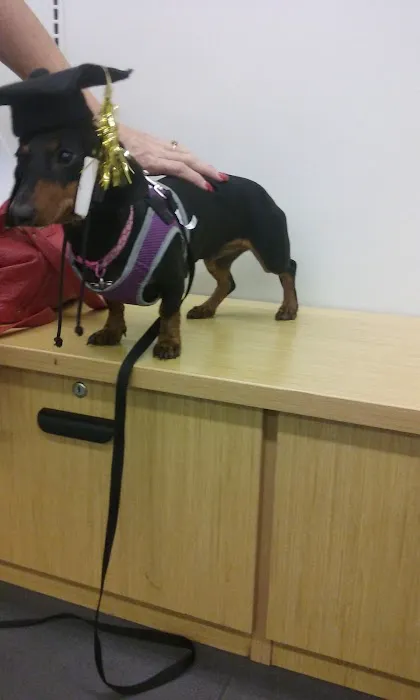 Petco 12