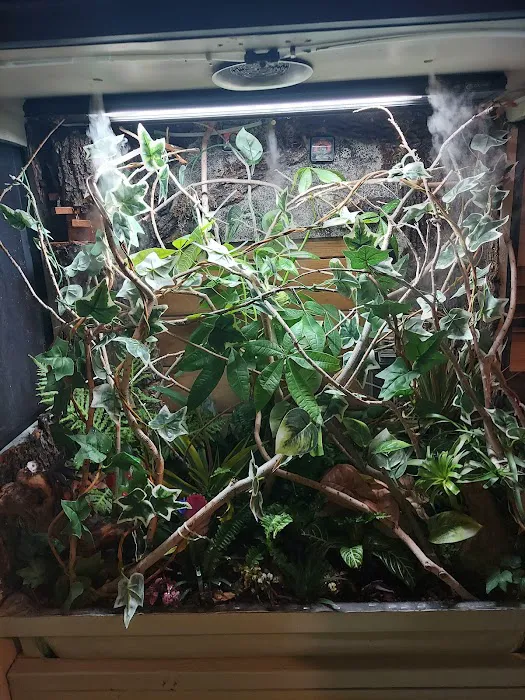 REPTILE FACTORY 12