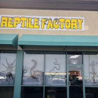 REPTILE FACTORY ico