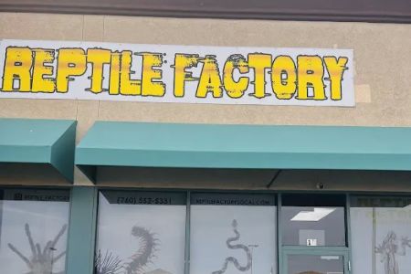REPTILE FACTORY