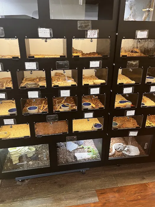 REPTILE FACTORY 12