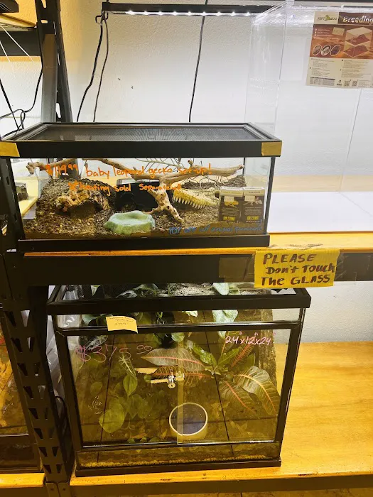 REPTILE FACTORY 12