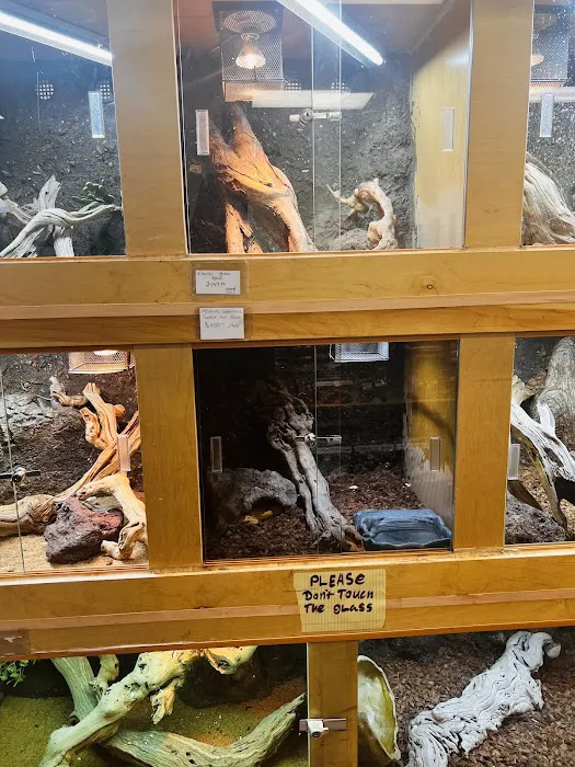 REPTILE FACTORY 12