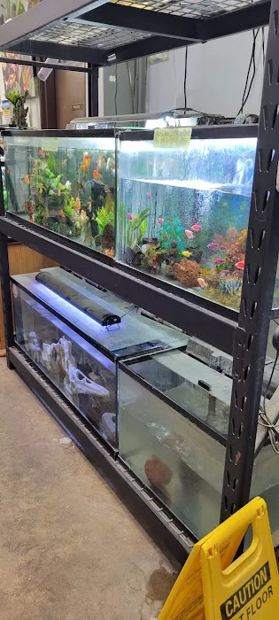 High Desert Pet Shop 12