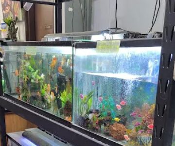 High Desert Pet Shop