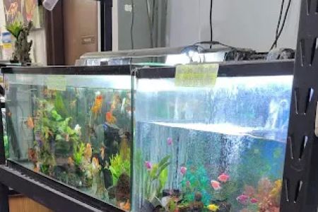 High Desert Pet Shop