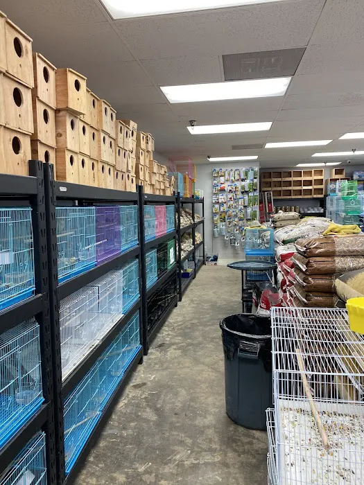 High Desert Pet Shop 12