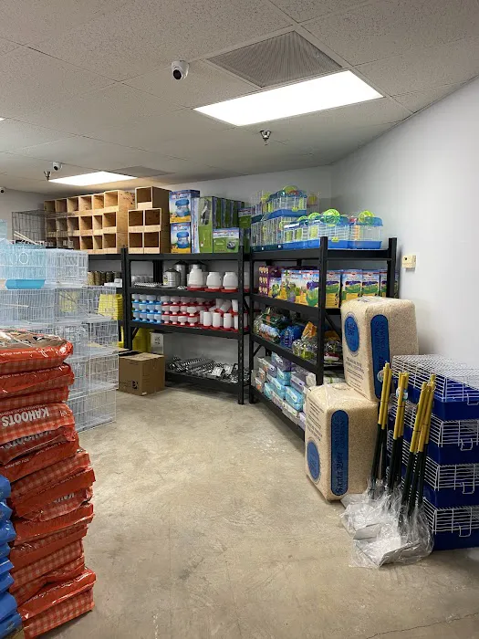 High Desert Pet Shop 12