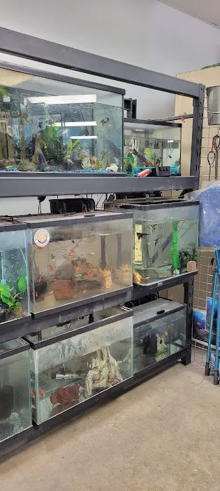 High Desert Pet Shop 12