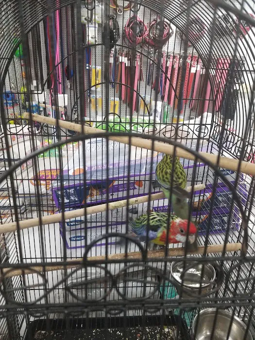 High Desert Pet Shop 12