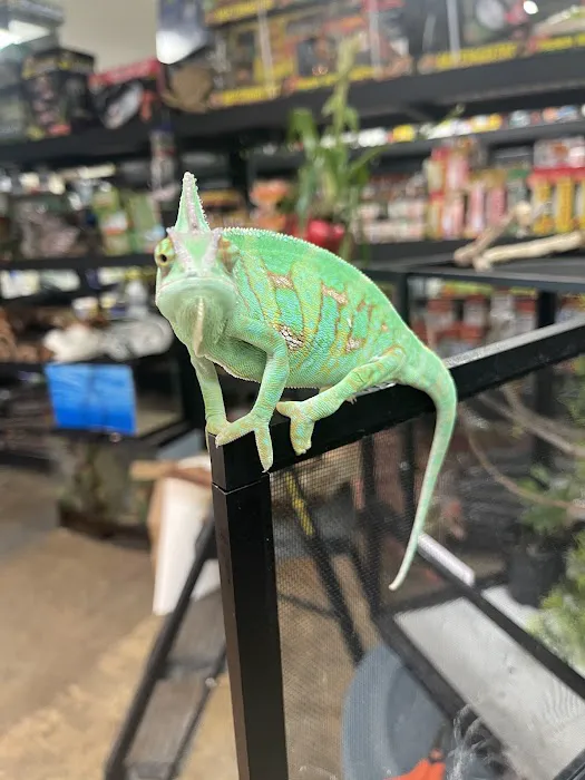 High Desert Pet Shop 12
